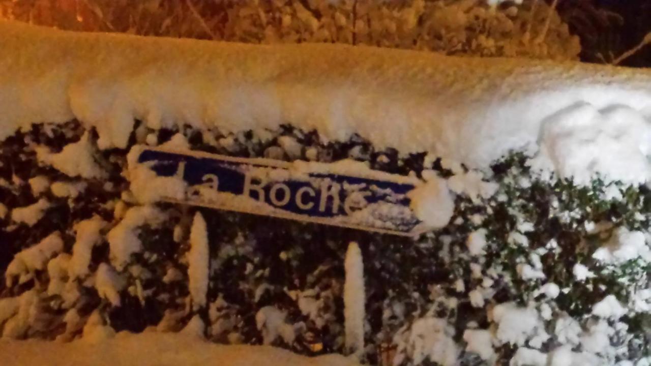 Cerf-Service La-Roche-en-Ardenne Bagian luar foto